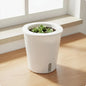 Self Watering Planter Large Size Self Watering Pot Water Reservoir Planter Hydroponic Garden Container Lightweight for Outdoor