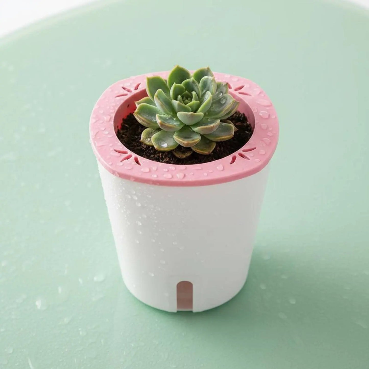Self Watering Planter Large Size Self Watering Pot Water Reservoir Planter Hydroponic Garden Container Lightweight for Outdoor